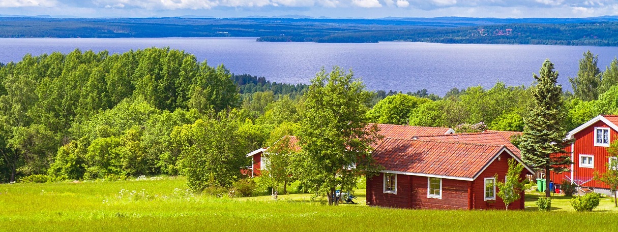 В какой цвет покрасить деревенский дом снаружи фото